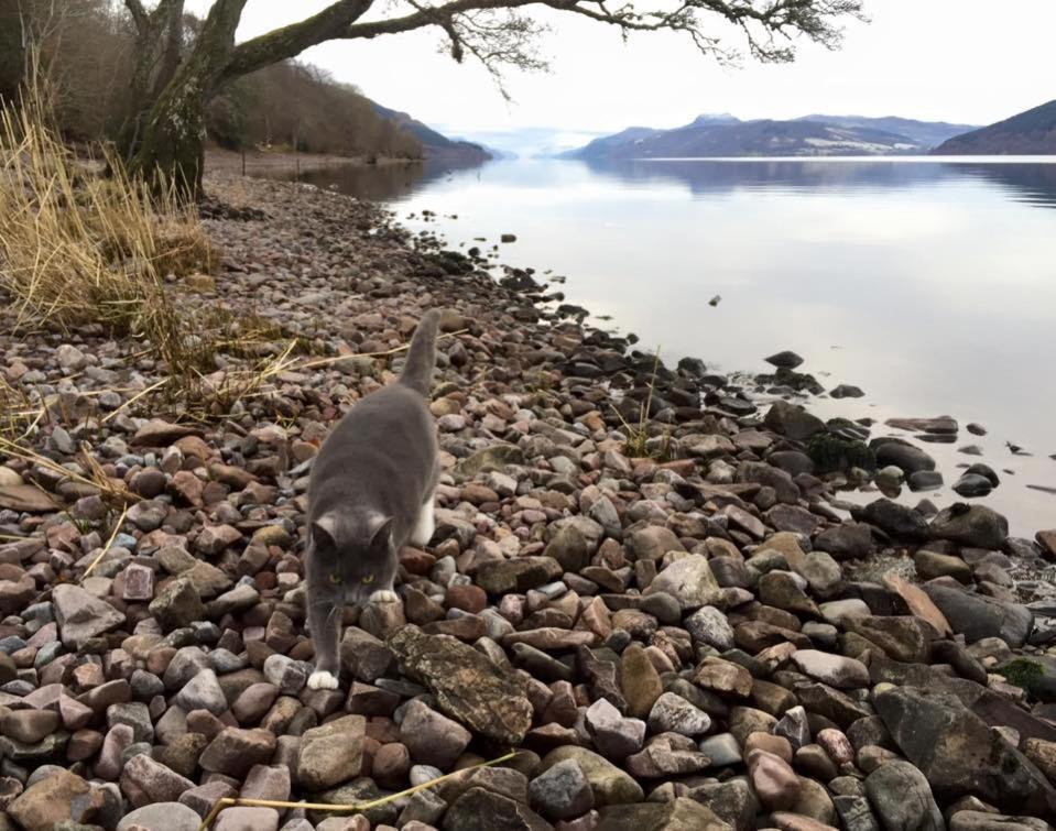 Balachladaich Loch Ness B&B Dores Zewnętrze zdjęcie