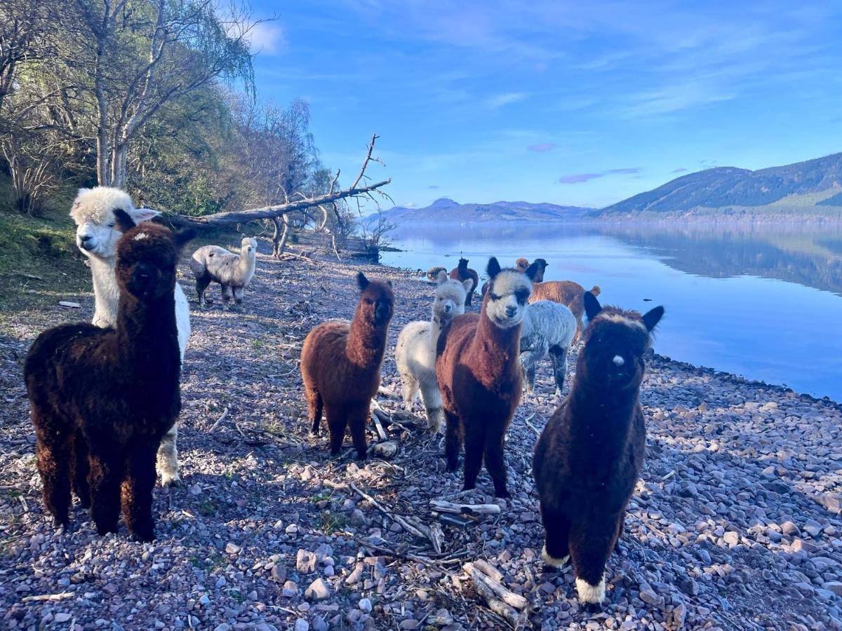 Balachladaich Loch Ness B&B Dores Zewnętrze zdjęcie