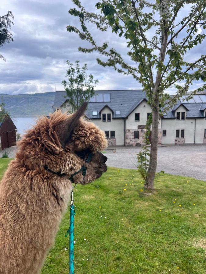 Balachladaich Loch Ness B&B Dores Zewnętrze zdjęcie